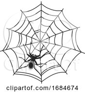 Poster, Art Print Of Spider On A Web