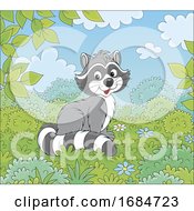 Poster, Art Print Of Cute Raccoon