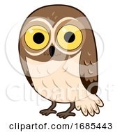Animal Desert Elf Owl Illustration