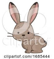 Poster, Art Print Of Animal Desert Jack Rabbit Illustration