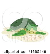 Poster, Art Print Of Animal Lay Eggs Turtle Illustration