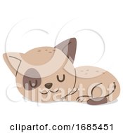 Poster, Art Print Of Animal Cat Kitten Sleeping Illustration