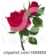 Vector Of Red Rose
