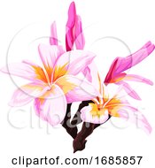 Poster, Art Print Of Vector Of Fresh Pink Flower