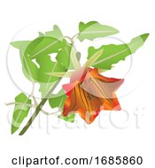 Blooming Orange Flower by Morphart Creations