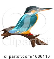 Poster, Art Print Of Vector Of Bird Perching On Branch