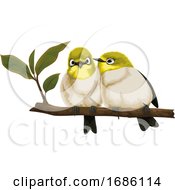 Poster, Art Print Of Vector Of Lovebirds On Branch