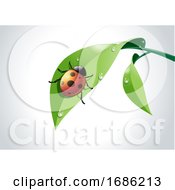 Poster, Art Print Of Vector Of Ladybug On Green Leaf