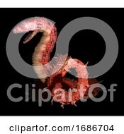 Poster, Art Print Of Red Coiled Sea Monster Wyvern Or Dragon 3d Render Monster From Hell