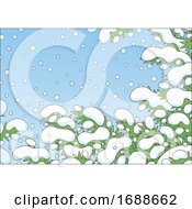 Poster, Art Print Of Background Of Evergreen Branches And Snow