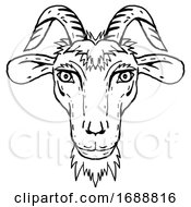 Poster, Art Print Of Goat Head Portrait Cartoon Retro Drawing
