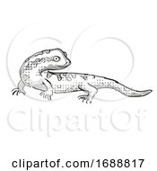 Poster, Art Print Of Tautuku Gecko New Zealand Wildlife Cartoon Retro Drawing