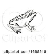 Poster, Art Print Of Whistling Tree Frog New Zealand Wildlife Cartoon Retro Drawing