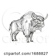 Ancient Bison Extinct North American Wildlife Cartoon Drawing by patrimonio