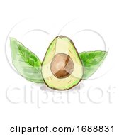 Poster, Art Print Of Haas Avocado Fruit With Leaves Watercolor