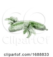 Poster, Art Print Of Cucumber Watercolor