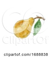 Poster, Art Print Of Pear Watercolor