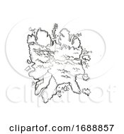 Island With Mountains And Rivers Vintage Fantasy Map Cartoon Retro Drawing