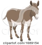 Poster, Art Print Of Donkey