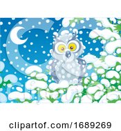 Poster, Art Print Of Owl In The Snow