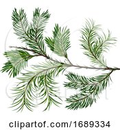 Poster, Art Print Of Spruce Twig