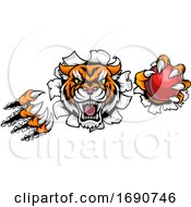 Poster, Art Print Of Tiger Holding Cricket Ball Breaking Background