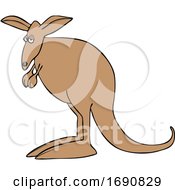 Poster, Art Print Of Cartoon Kangaroo