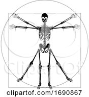 Poster, Art Print Of Da Vinci Vitruvian Man Skeleton