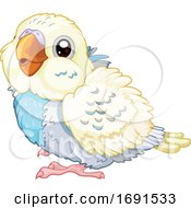 Poster, Art Print Of Cute Baby Budgie Parakeet Bird