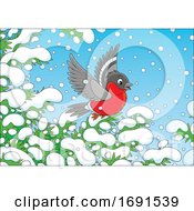 Poster, Art Print Of Winter Robin Bird
