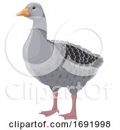 Poster, Art Print Of Goose