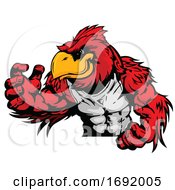 Poster, Art Print Of Muscular Red Cardinal Bird Mascot