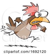 Poster, Art Print Of Cartoon Irate Chicken