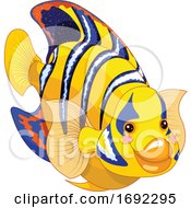 Cute Angelfish Marine Fish