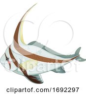 Poster, Art Print Of Cute Jackknife Fish