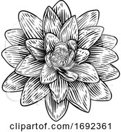 Poster, Art Print Of Lotus Flower Woodcut Water Lilly Engraved Etching