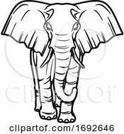 Poster, Art Print Of Elephant