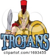 Trojan Female Warrior Gladiator Woman by AtStockIllustration