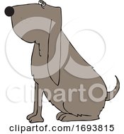 Cartoon Sitting Bloodhound Dog