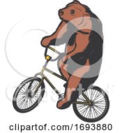 Trained Circus Bear Riding A Bicycle