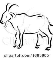 Calligraphy Styled Chinese Zodiac Goat by Vector Tradition SM