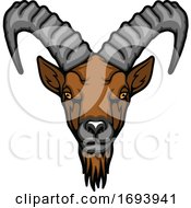 Poster, Art Print Of Mountain Goat
