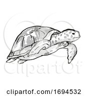 Poster, Art Print Of Green Sea Turtle Endangered Wildlife Cartoon Drawing