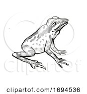Poster, Art Print Of Anderssons Stubfoot Toad Endangered Wildlife Cartoon Drawing