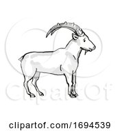 Poster, Art Print Of Nubian Ibex Endangered Wildlife Cartoon Drawing