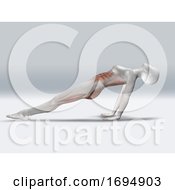 Poster, Art Print Of 3d Female Figure In Reverse Plank Pose With Muscles Highlighted