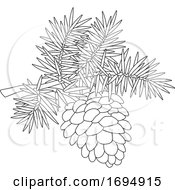 Poster, Art Print Of Pinecone On A Branch