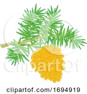 Poster, Art Print Of Pinecone On A Branch