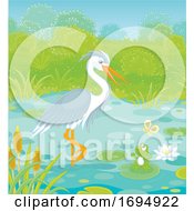 Poster, Art Print Of Grey And White Heron