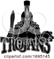 Poster, Art Print Of Spartan Trojan Gladiator Tennis Warrior Woman